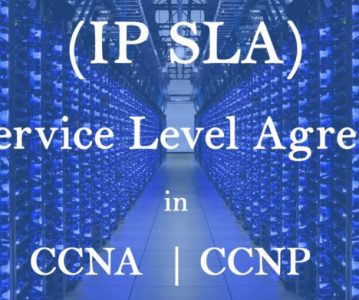 IP Services
