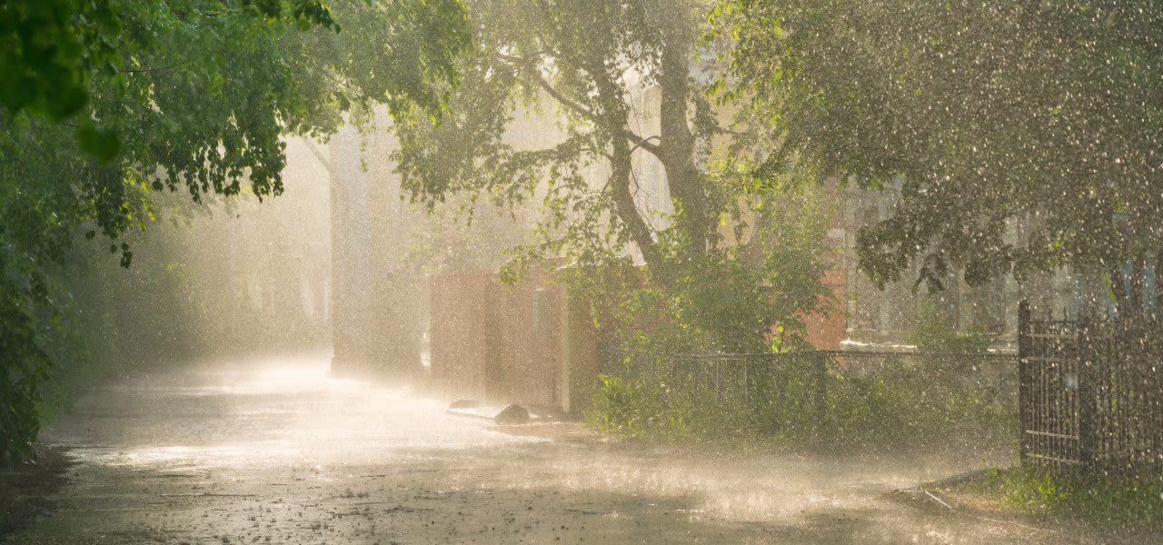 Beschermd: IP Services Lab 4